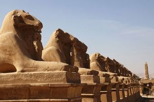 В Египте открыли древнюю Аллею сфинксов после реставрации
